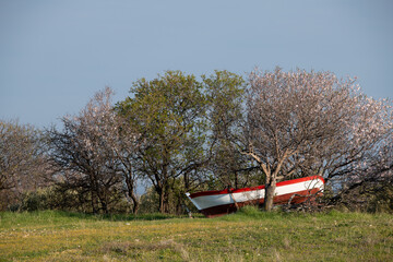 A vibrant red boat parked on green grass, surrounded by blooming trees, captured on a clear, sunny...