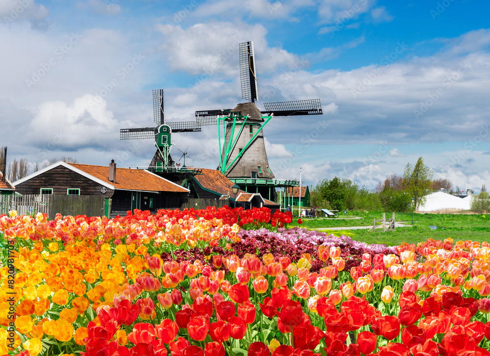 Canvas Prints Dutch wind mills