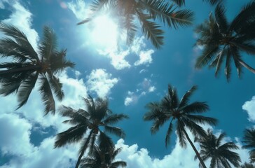 Obraz premium Bright tropical sky with swaying palm trees during daytime