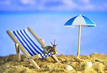 A snail on the beach with an umbrella. Resort on the ocean. Conceptual macro photo on the theme of vacation