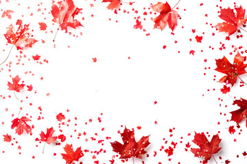 Red maple leaves on white background - card for Canada Day July 1st