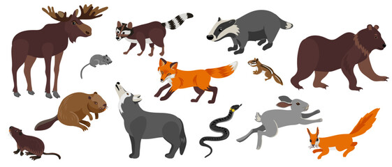 vector drawing set of forest animals isolated at white background, hand drawn illustration