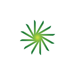Natural leaf logo design. Premium Vector