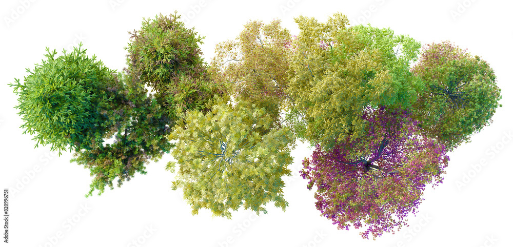 Aufkleber top view tree group and small forest PNG file 100 percent transparent for drag and drop, 3d illustration rendering