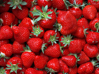 Ripe, juicy, fresh strawberries in close-up. Horizontal shot of red strawberries, top view. 