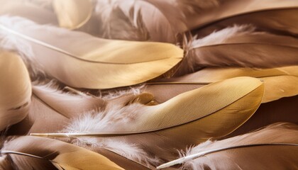 golden bird feathers luxury background