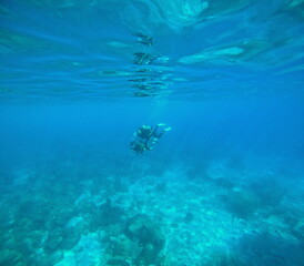 first scuba diving lesson in the sea, underwater photo. Two divers undersea, one monitor and one beginner. 