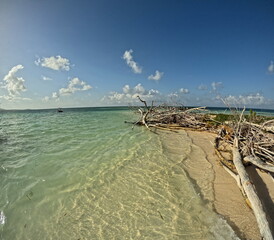 ilet blanc, idyllic island in Grand cul de sac marin, guadeloupe. Caribbean landscape with copy...