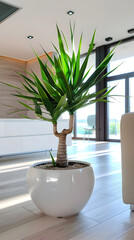 Indoor Yucca Plant Showcasing Modern Home Decor And Healthy Greenery