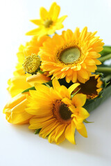 Bright bouquet of yellow flowers on white background