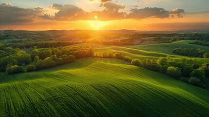 An aerial view of rolling green fields with meticulously arranged rows of crops. The landscape is interspersed with patches of forest, nature under the warm sunlight