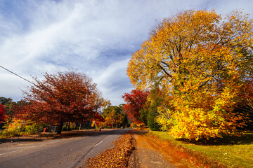 Marysville in Autumn Colours in Australia