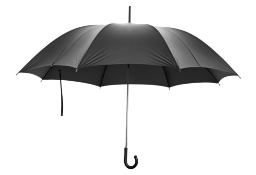 Black Umbrella Standing Tall Against White