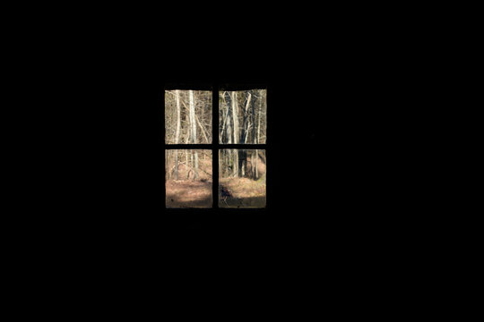 A solitary four-pane window in a dark room looking out into the woods