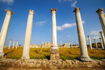 Ruins of ancient Salamis city roman forum Famagusta Magosa Cyprus