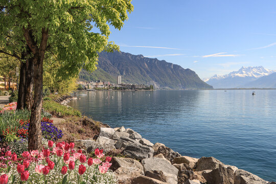 Fr&uuml;hling am Genfer See; Blick auf Montreux vom Quai de Clarens