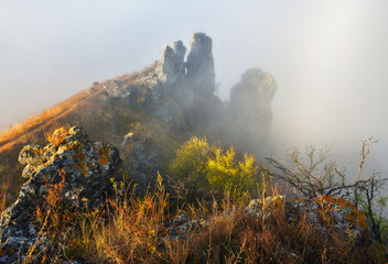 Fototapeta premium Beautiful autumn landscape at sunrise. picturesque river canyon. nature of Ukraine
