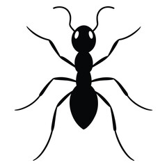Ant Vector illustration of a black silhouette. Line art or outline Isolated white background. Icon insect ant side view profile. Ant vector flat icon.