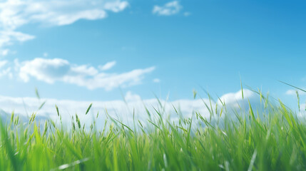 Obraz premium Serene Blue Sky and Fresh Green Meadow