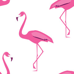 Seamless pattern with pink flamingo in the white background vector tropical abstract bird design fabric print