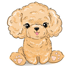 Hand drawn Cute Poodle vector illustration, kids trend print design