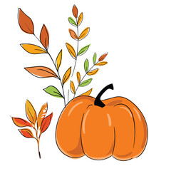 Hand drawn pumpkin and leaves isolated on white background vector illusration