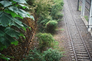 어느 여름날의 철길