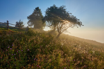 Mountain valley during sunrise. Natural landscape