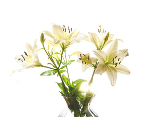 A bouquet of white flowers in a clear vase. The flowers are arranged in a way that they are all...
