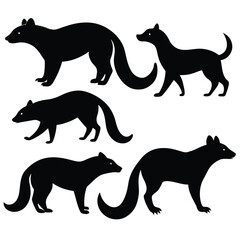Set of Black African Palm Civet Silhouette Vector on a white background