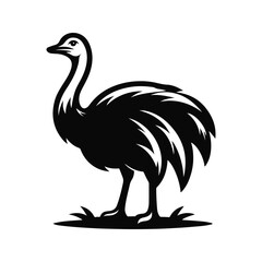 Ostrich Animal Black Silhouette Vector With White Color Background