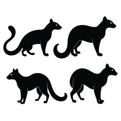 Set of Black African Palm Civet Silhouette Vector on a white background