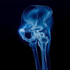 Humen knee bone  on a dark blue background, Healthcare and medicine concept.