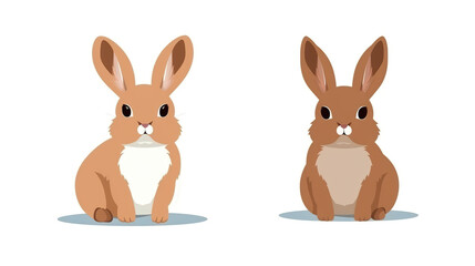 Fototapeta premium A solitary rabbit on an entirely white background