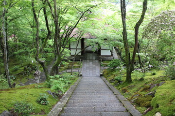 Nio-mon Gate and fresh green in Jojakko-ji Temple in Kyoto, Japan