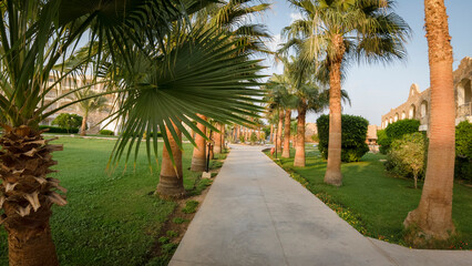 Hotel path among palm trees at sunset time