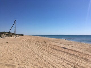 Photo of a wild sea beach with sand dunes and small green bushes. Sea coast with tire tread marks on the sand. Afternoon light and cold blue sky background. Seascape landscape.