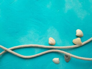 Seashells and ropes on a blue background