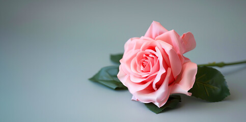 A pink rose is sitting on a table. The rose is the main focus of the image, and it is surrounded by a leaf. The image has a calm and peaceful mood. petals pink rose with stem