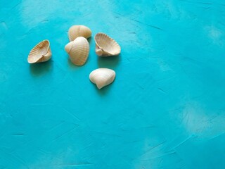 Sea shells on blue background