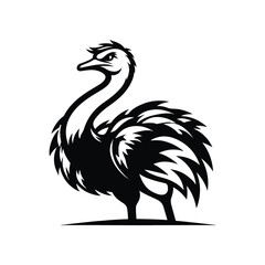 Ostrich Animal Black Silhouette Vector With White Color Background