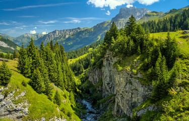 Mountain green. Greenery in mountains. Landscape in the mountains