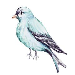 Watercolor blue bird illustration, capturing nature and wildlife essence with delicate strokes in vintage style for invitation, wedding, printing, textile, greeting card, fabric