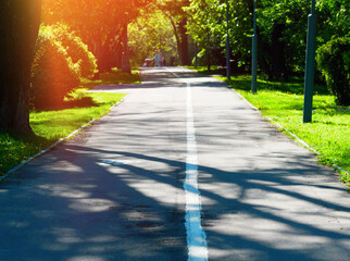 Pedestrian walking path in sunny summer park