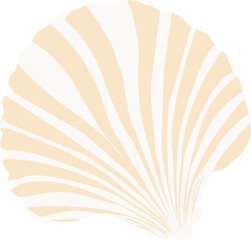 seashell clipart. minimalist seashell clipart isolated on a transparent background. 