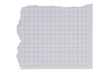Scrap ripped strimmin grid paper isolated transparent