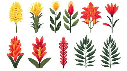 Fototapeta premium Plants with exotic blooms isolated on a white background