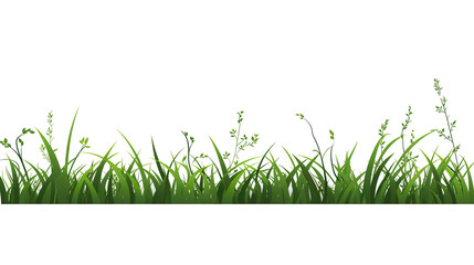 Fototapeta premium grass solitary against a blank white background