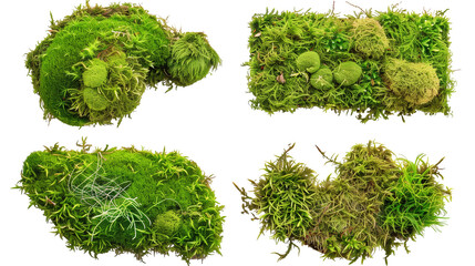 Set of sheet moss