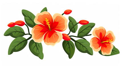 A single gummela flower set against a stark white background